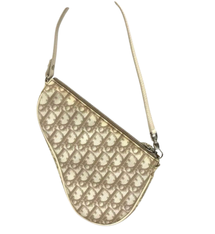 Mini borsa a tracolla Dior Saddle ricamata Beige Trotter